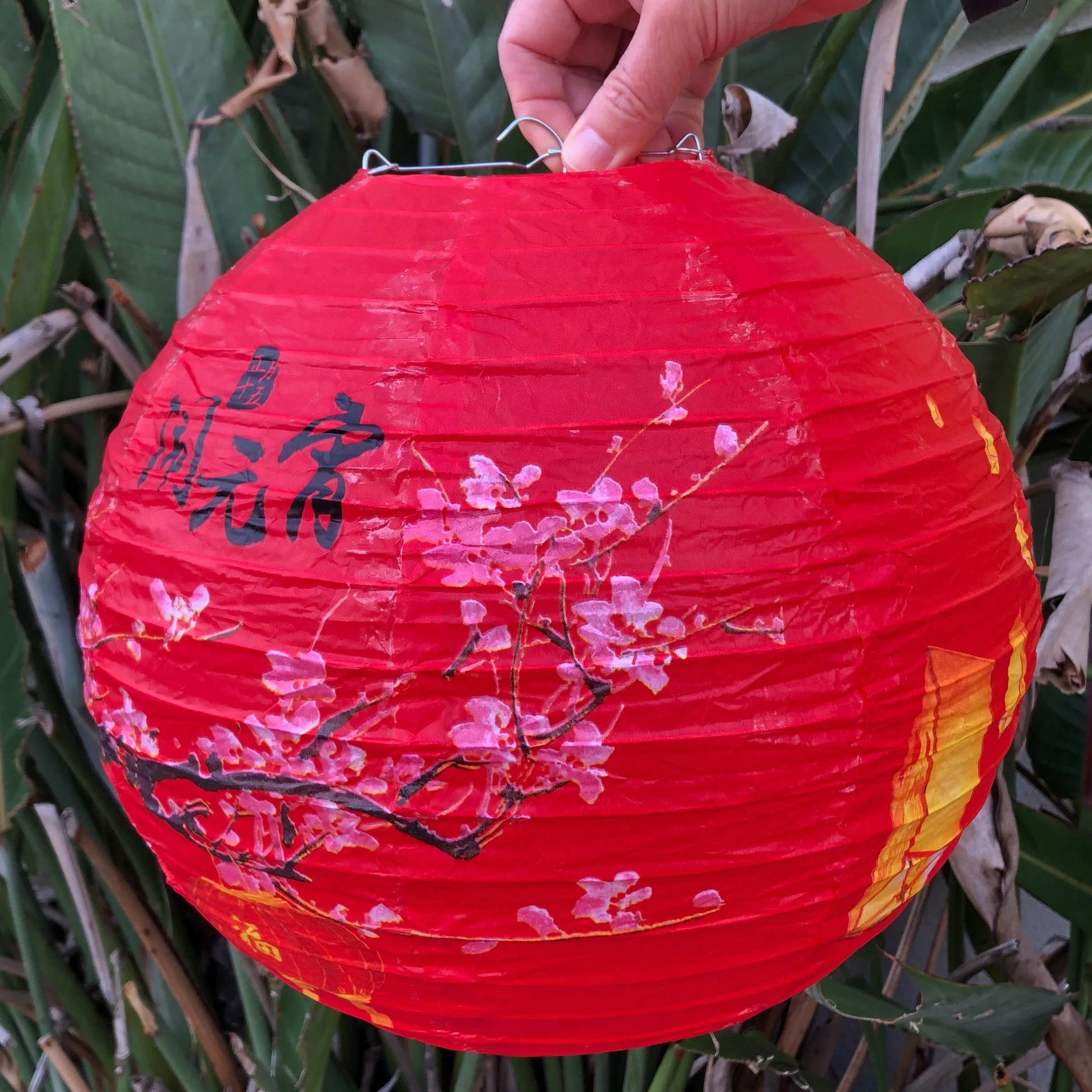 30cm Red Chinese New Year Cherry Blossom Paper Lantern