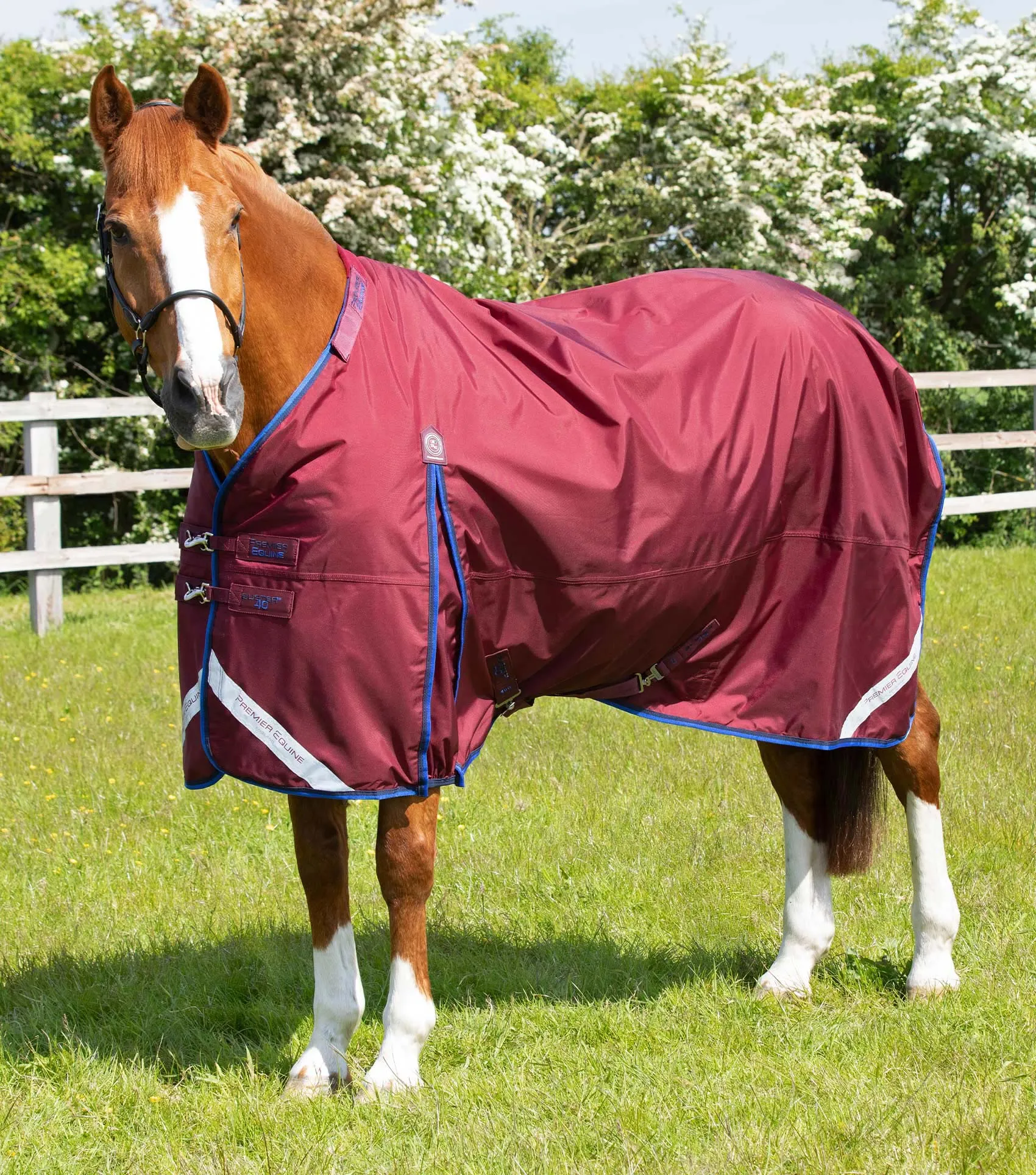 Buster 40g Turnout Rug with Classic Neck Cover Burgundy