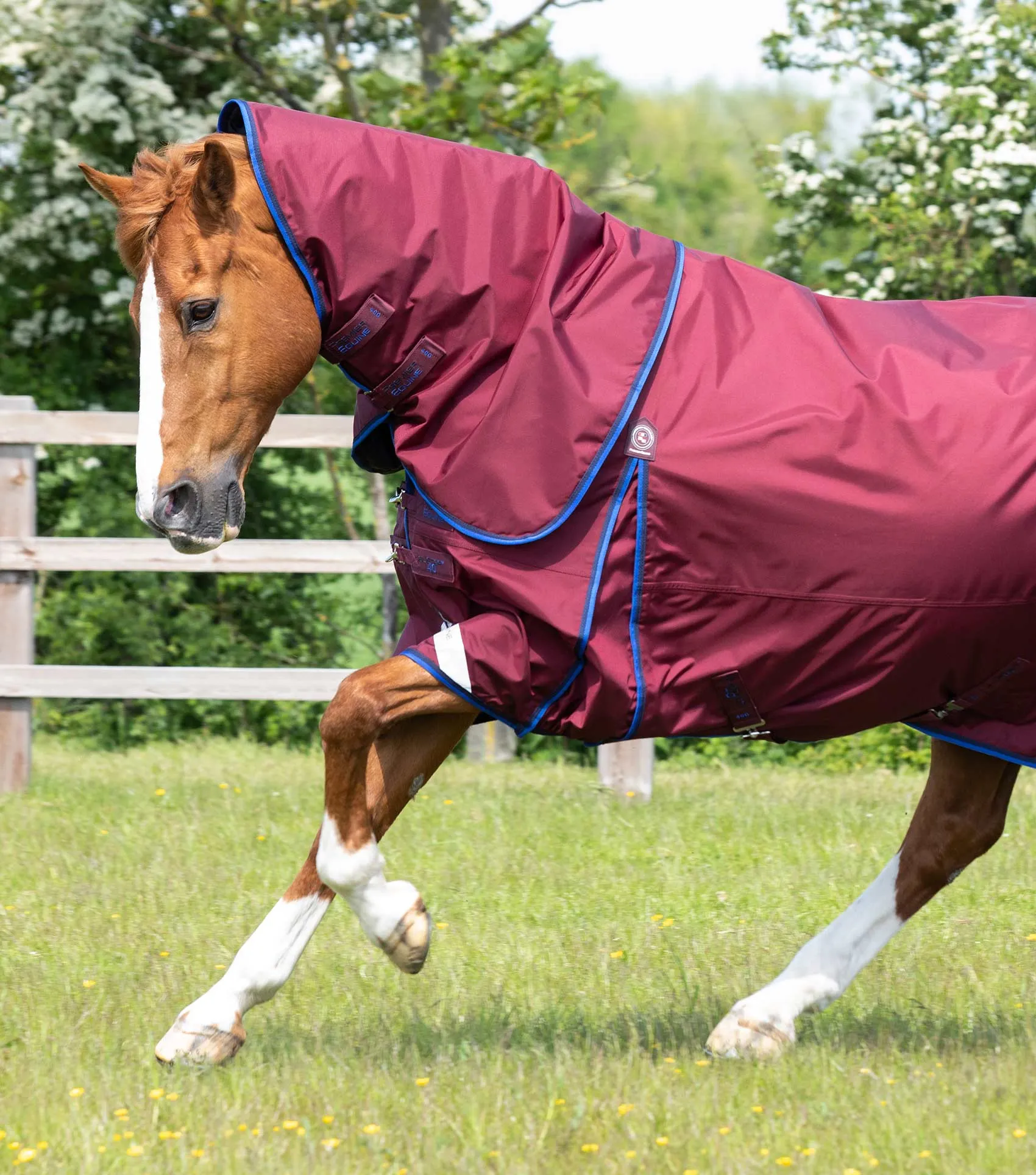 Buster 40g Turnout Rug with Classic Neck Cover Burgundy