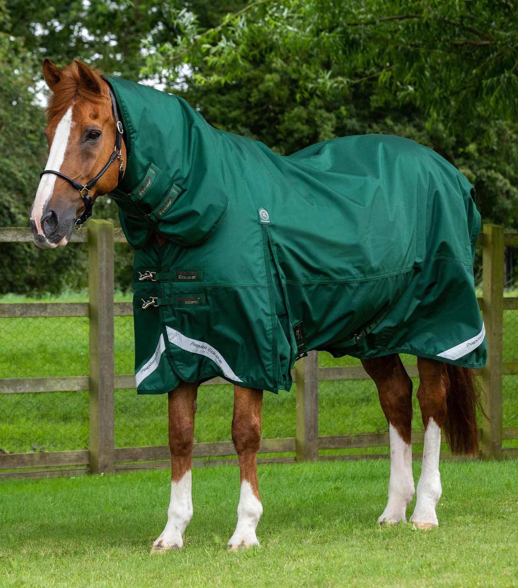 Buster Storm 220g Combo Turnout Rug with Classic Neck Green