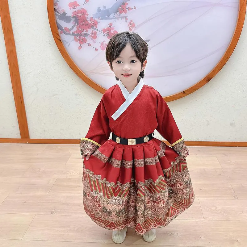 Kids Festive Traditional Chinese New Year Outfit Hanfu