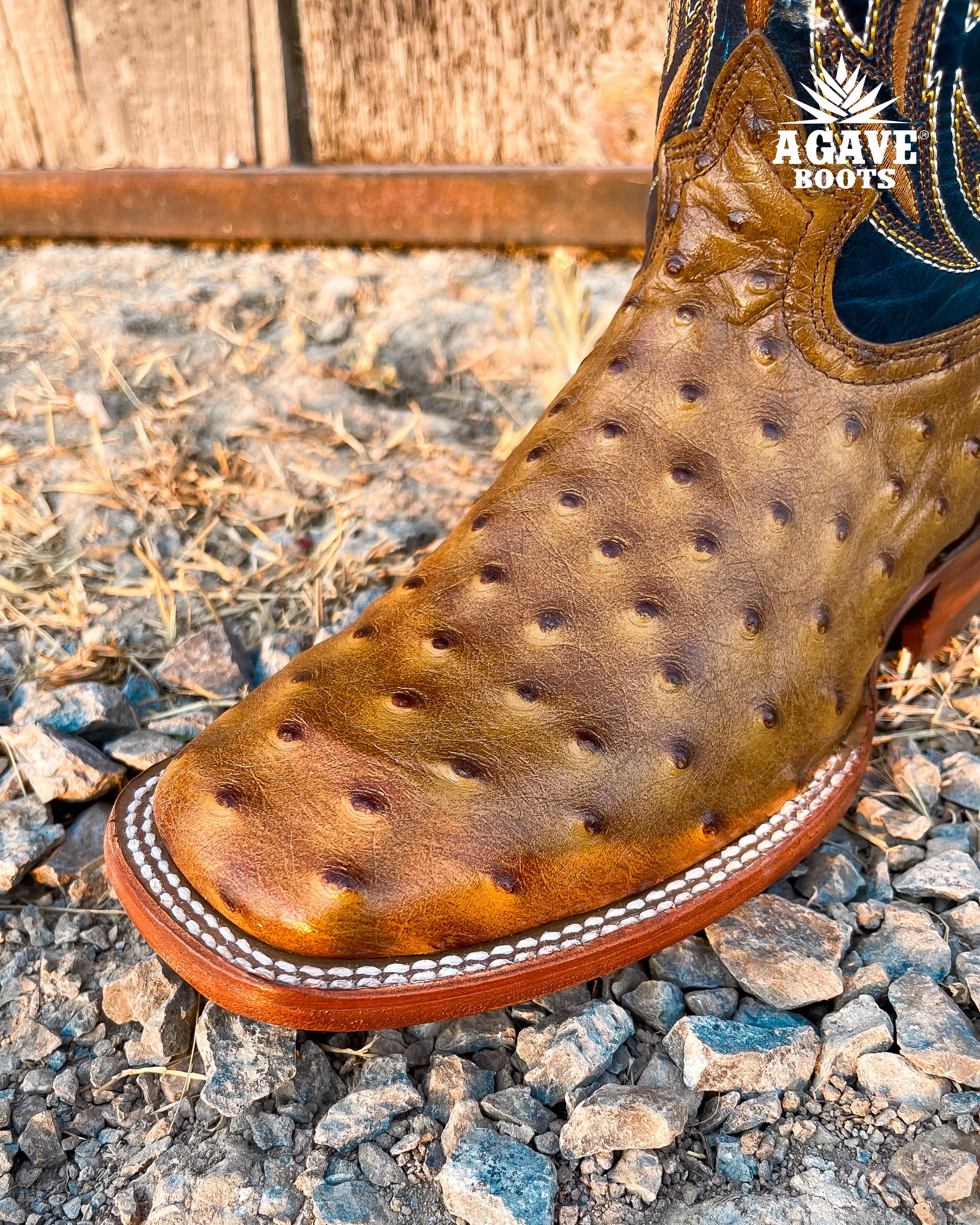 OSTRICH LIGHT BROWN PRINT  | MEN SQUARE TOE WESTERN COWBOY BOOTS