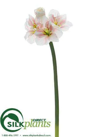 Silk Plants Direct Amaryllis Spray - White Pink - Pack of 12