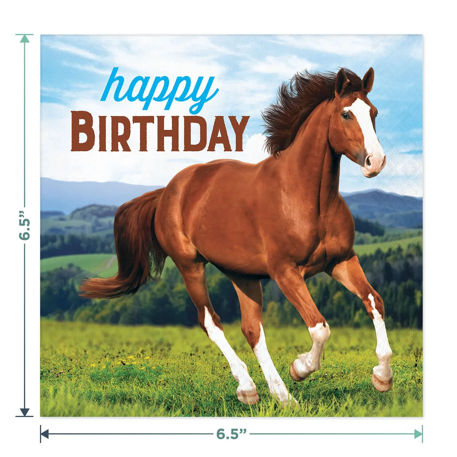 Wild Pony and Horse Birthday Party Pack - Paper Dessert Plates, Birthday Napkins, Forks, Cups, Table Cover, and Birthday Banner Set (Serves 16)